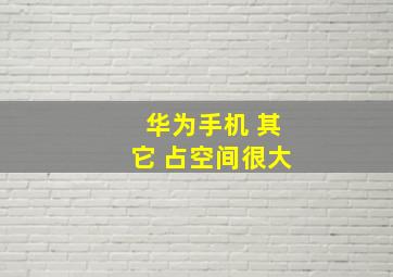 华为手机 其它 占空间很大